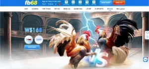 đá gà trực tiếp fb68